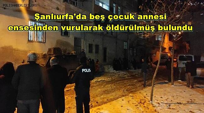 Şanlıurfa'da beş çocuk annesi, ensesinden vurularak öldürülmüş bulundu 