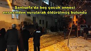 Şanlıurfa'da beş çocuk annesi, ensesinden vurularak öldürülmüş bulundu 