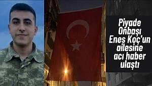 Şehit Piyade Onbaşı Enes Koç'un İstanbul'daki babaevinde hüzün 