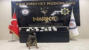 Van Emniyetinden Torbacı Operasyonu
