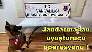 Van Jandarma ekiplerinden uyuşturucu operasyonu! 