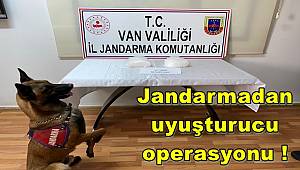 Van Jandarma ekiplerinden uyuşturucu operasyonu!  