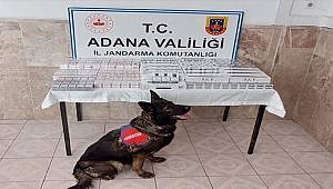 Adana'da kaçakçılık operasyonunda 12 şüpheli yakalandı