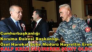 Cumhurbaşkanlığı Özel Harekat Şube Müdürü Hayrettin Eren Şehit Oldu