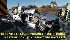 Dede ve babaanne torunları ile gittikleri hastane dönüşünde hayatını kaybetti