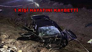 Elazığ’da şarampole uçan otomobil hurdaya döndü, 1 ölü, 3 yaralı
