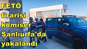 FETÖ firarisi komiser Şanlıurfa'da yakalandı