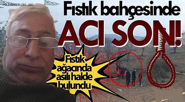 Gaziantep'te intihar! Fıstık bahçesinde kendini asarak yaşamına son verdi