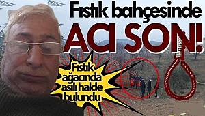 Gaziantep'te intihar! Fıstık bahçesinde kendini asarak yaşamına son verdi