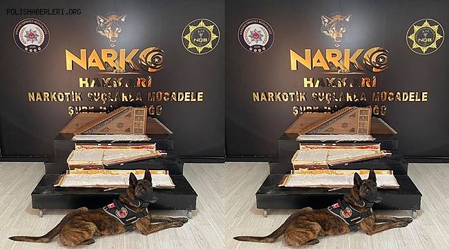 Hakkari'de enstrüman kılıfında metamfetamin ele geçirildi