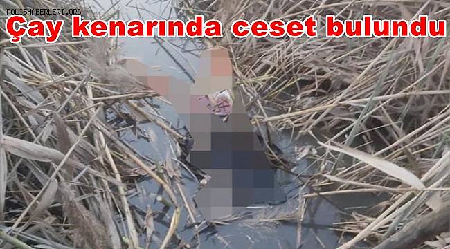Hatay'da çay kenarında ceset bulundu 