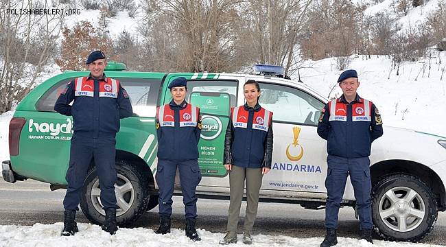 'HAYDİ' ile 31 bin 17 ihbara müdahale edildi