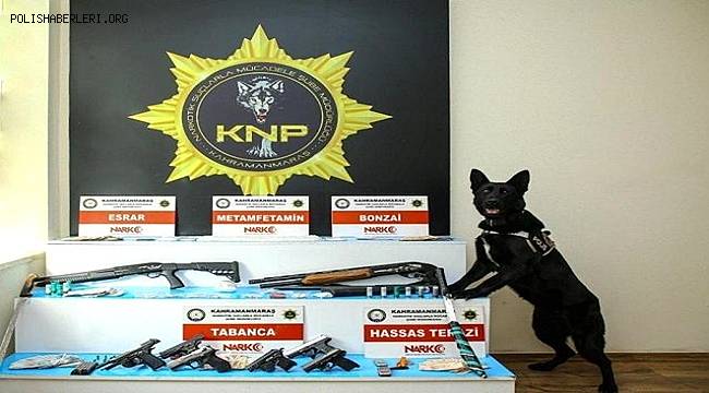 Kahramanmaraş merkezli 3 ilde organize suç örgütüne yönelik operasyonda 12 kişi tutuklandı 