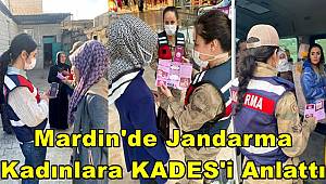 Mardin'de jandarma personeli kadınlara KADES'i anlattı
