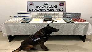 Mardin'de uyuşturucu satıcısına jandarma baskını 