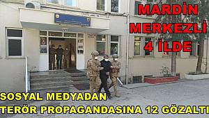 Mardin merkezli 4 ilde terör operasyonu, 12 gözaltı