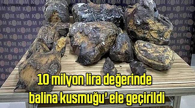 Mersin'de 10 milyon lira değerinde 'balina kusmuğu' ele geçirildi