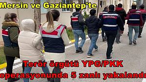 Mersin ve Gaziantep'te terör örgütü YPG/PKK operasyonunda 5 zanlı yakalandı 