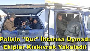 Polisin 