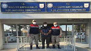 Şanlıurfa'da kapı ve pencere hırsızları yakalandı