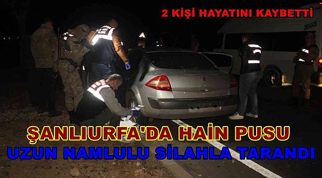 Şanlıurfa'da otomobil uzun namlulu silahla tarandı 2 kişi öldü