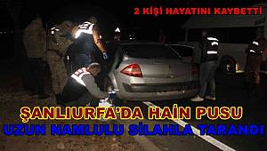 Şanlıurfa'da otomobil uzun namlulu silahla tarandı 2 kişi öldü