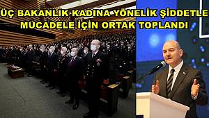 Üç bakanlık kadına yönelik şiddetle mücadele için ortak toplantı