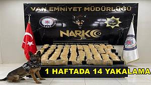 Van'da 1 Haftalık Uyuşturucu Operasyonuna 14 Yakalama 