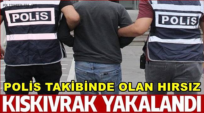 Van'da Polisin Takibinde Olan Hırsız Kıskıvrak Yakalandı