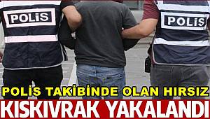 Van'da Polisin Takibinde Olan Hırsız Kıskıvrak Yakalandı