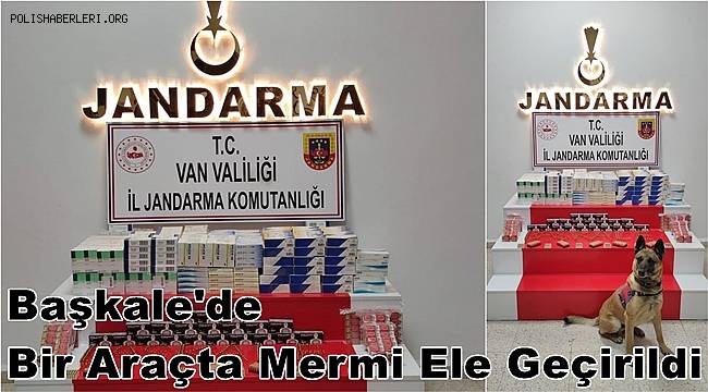 Van'ın Başkale İlçesinde Bir Araçta Mermi Ele Geçirildi  
