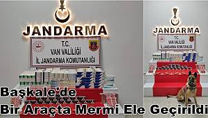 Van'ın Başkale İlçesinde Bir Araçta Mermi Ele Geçirildi