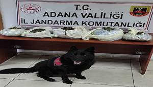 Adana'da 7 kilo 904 gram esrar ele geçirildi 