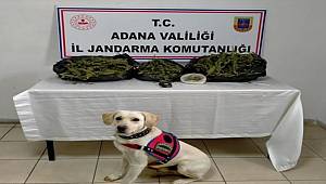 Adana'da uyuşturucu operasyonunda bir şüpheli yakalandı 
