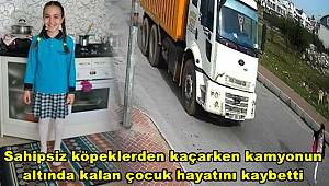 Antalya'da sahipsiz köpeklerden kaçarken kamyonun altında kalan çocuk hayatını kaybetti