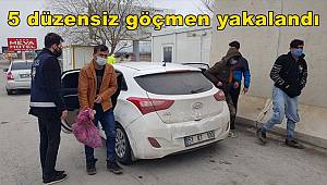Erzincan'da 5 düzensiz göçmen yakalandı 