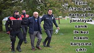 Eşini 12 bıçak darbesi ile yaralayan sanık ilk kez hakim karşısına çıktı