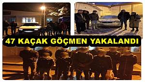 Gaziantep'te 47 düzensiz göçmen yakalandı 