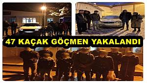 Gaziantep'te 47 düzensiz göçmen yakalandı
