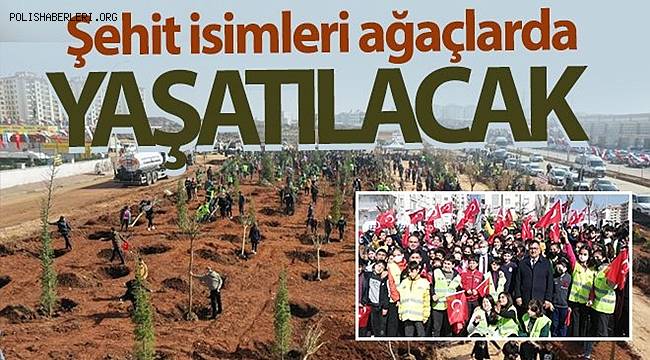 Gaziantep'te şehit isimleri ağaçlarda yaşatılacak 