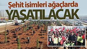Gaziantep'te şehit isimleri ağaçlarda yaşatılacak 