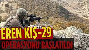 Mardin'de 'Eren Kış-29 Operasyonu' başlatıldı 