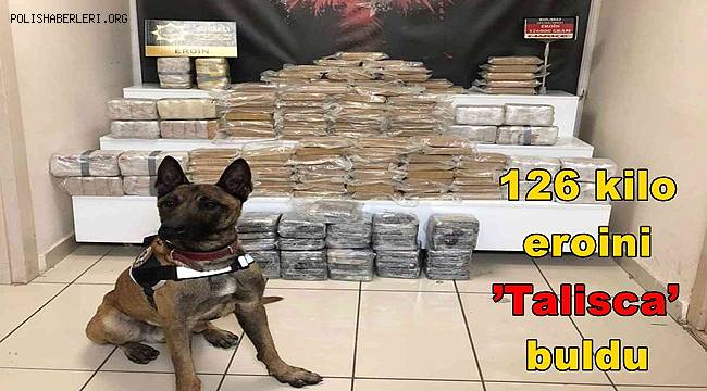 Otobüsün tavanında gizlenen 126 kilo eroini ’Talisca’ buldu 