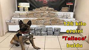 Otobüsün tavanında gizlenen 126 kilo eroini ’Talisca’ buldu 