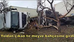 Van'da yoldan çıkan tır meyve bahçesine girdi