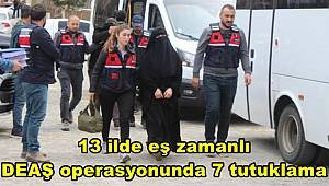 13 ilde eş zamanlı DEAŞ operasyonunda 7 tutuklama