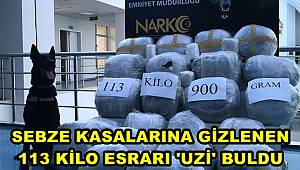 Adana'da sebze kasalarına gizlenen 113 kilo esrarı 'UZİ' buldu