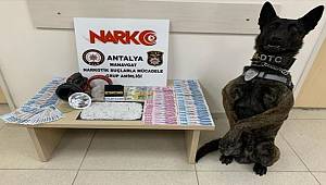 Antalya'da uyuşturucu operasyonunda bir zanlı tutuklandı