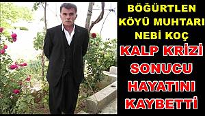 Keklik avına çıkan muhtar kalp krizi sonucu hayatını kaybetti