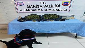 Manisa’da uyuşturucu operasyonuna 2 gözaltı